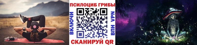 Купить закладки  Гай  Галлюциногенные грибы Psilocybine cubensis 